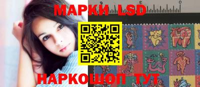 шишки Ставрополь