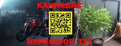 шишки Ставрополь
