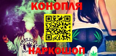 шишки Ставрополь